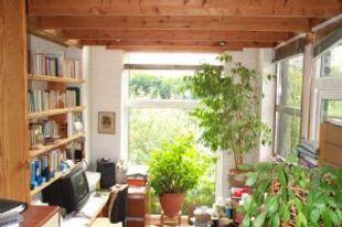 Dining Room/Study