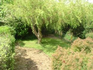 Rear Garden 2