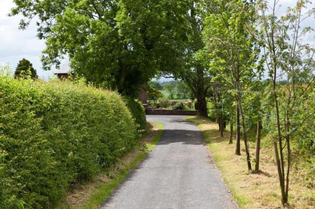 Driveway