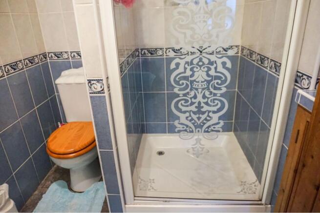 Downstairs Shower