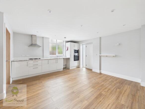 Living room and kitchen