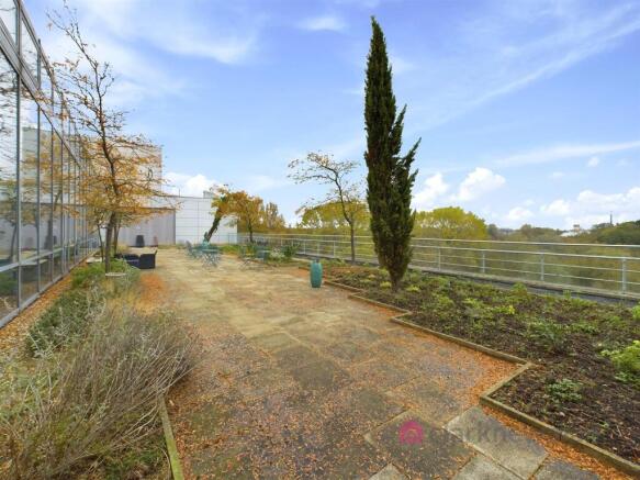Communal Roof Terrace