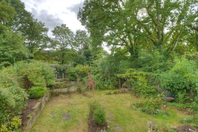 Garden at Back
