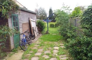 Garden Pic One