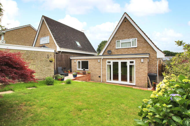 Photo 5
