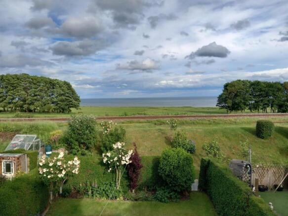 Garden: