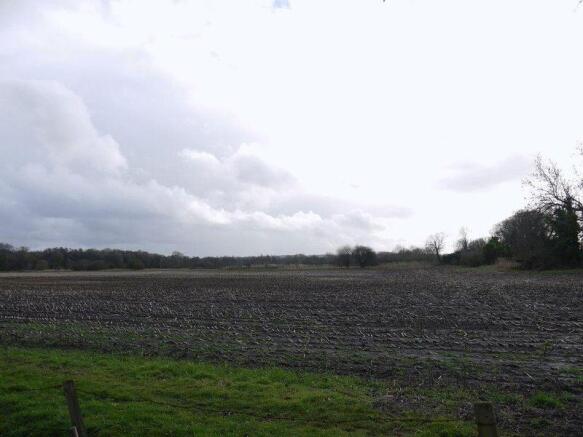 Photo 38
