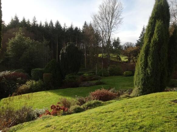 View to the woods