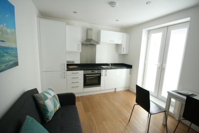 Kitchen/Living Area