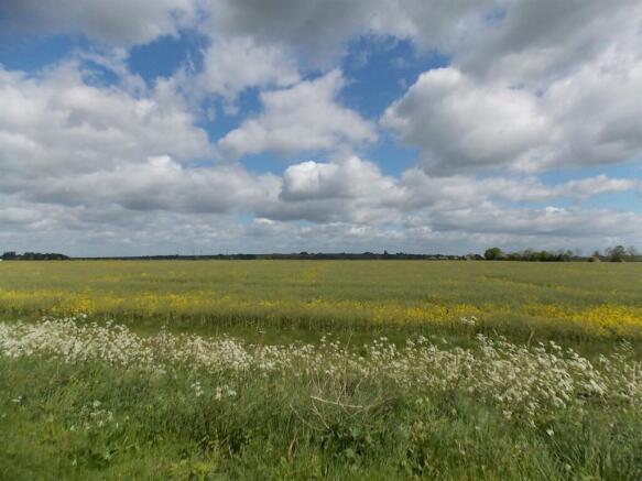 Open Fields