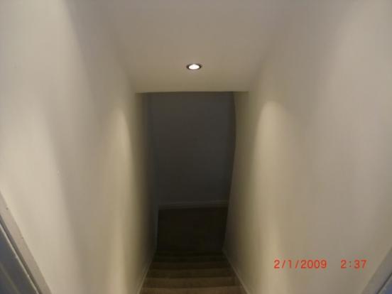 Fox Street 008.jpg