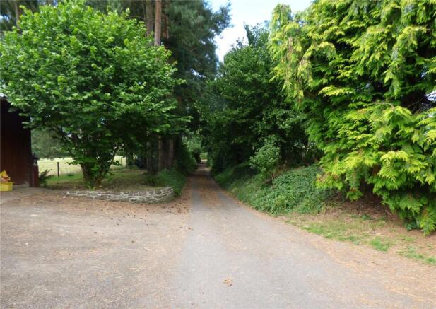 Driveway