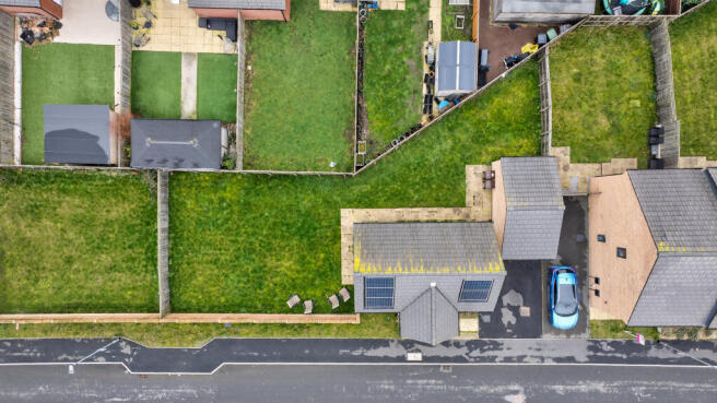 Bird's Eye