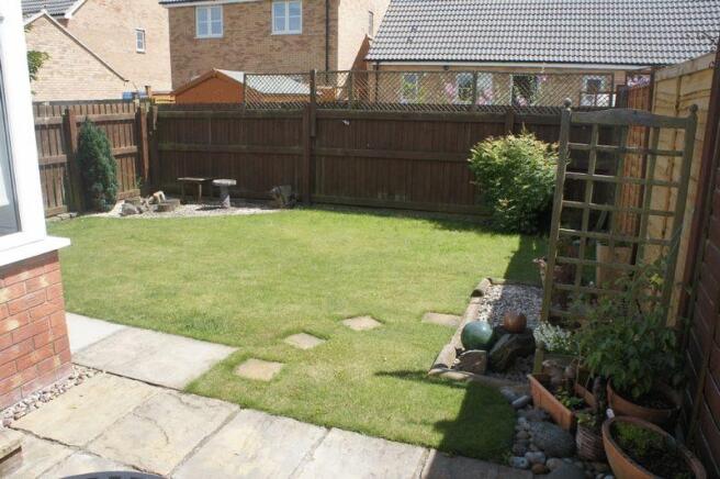 Photo2