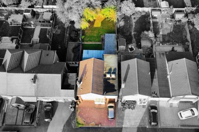 Plot view