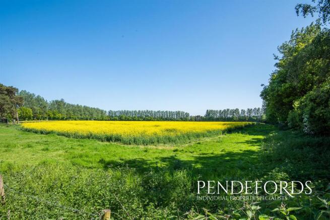 Field Views