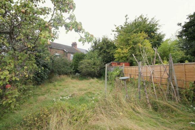 Bottom Garden