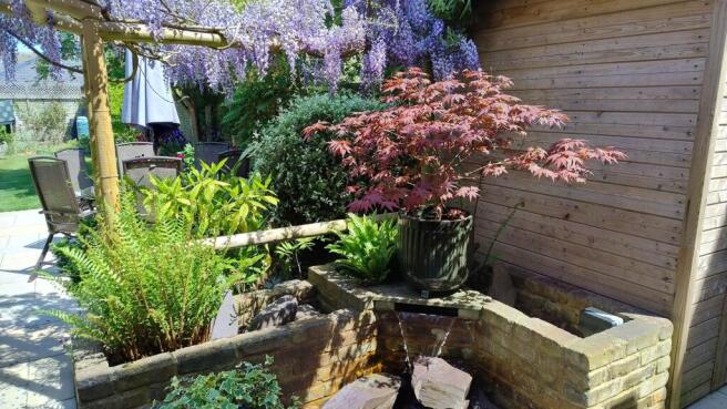 Garden (7)