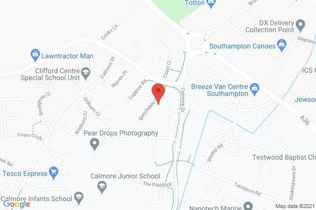 Google Maps Image