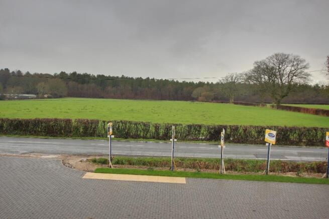 FIELD OPPOSITE