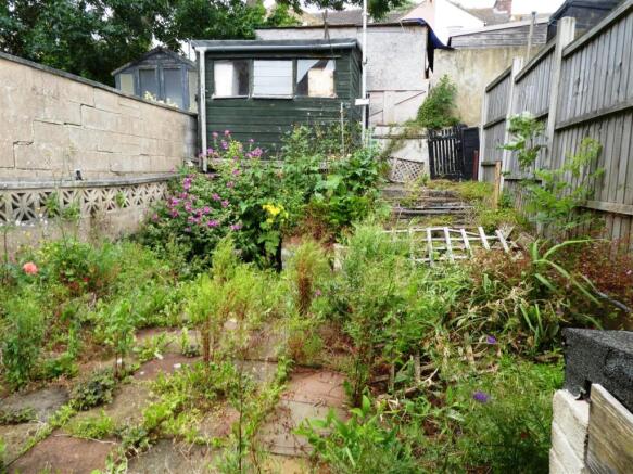 garden pic1.JPG