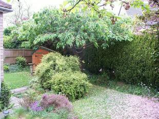 Outside Photo 2