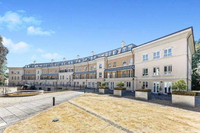 48 copper beech exte