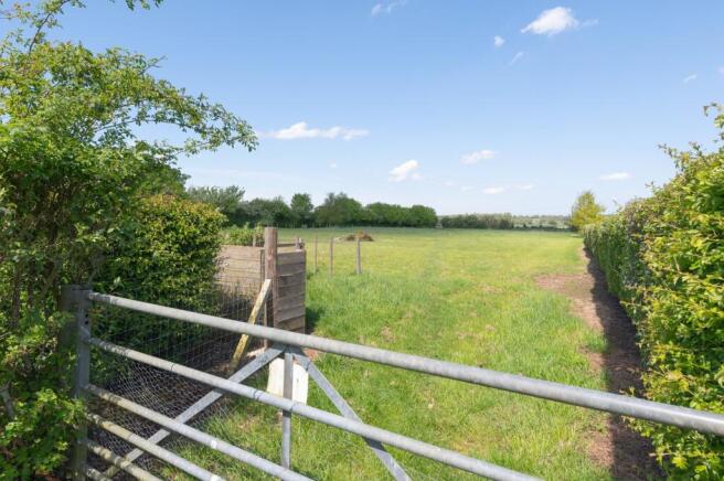 3-Acre Field