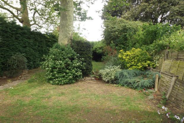 Back Garden