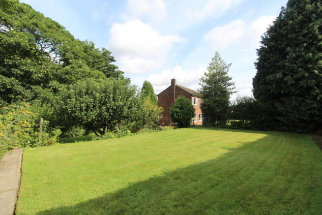 J Side Garden 2.JPG