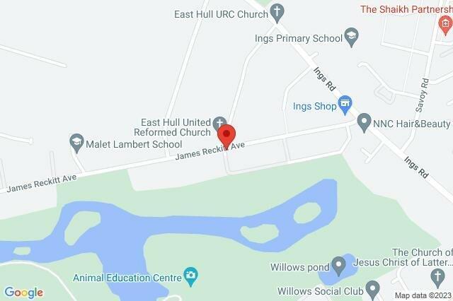 Google Maps Image