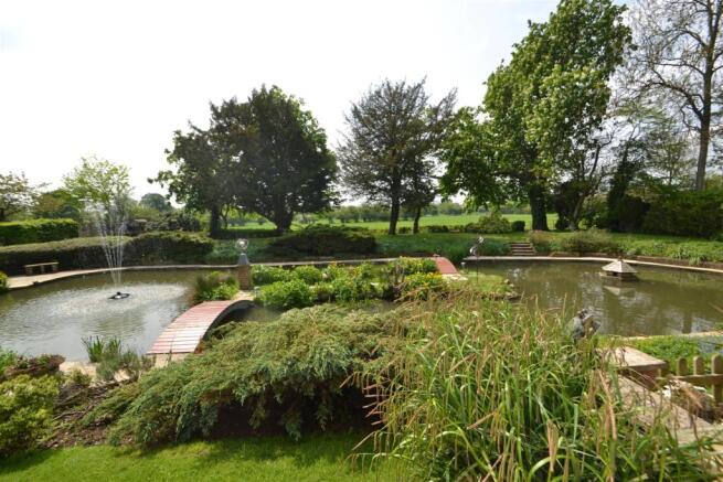 Rear Gardens