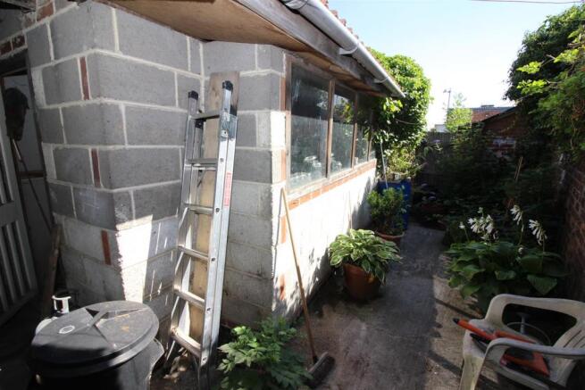 rear yard.JPG
