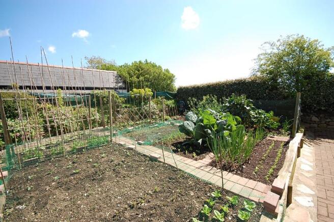Vegetable Plot