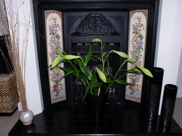 Photo 5