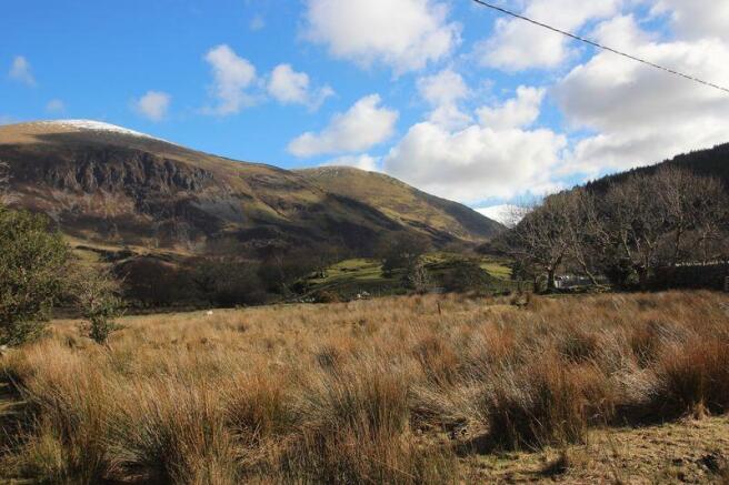 field view