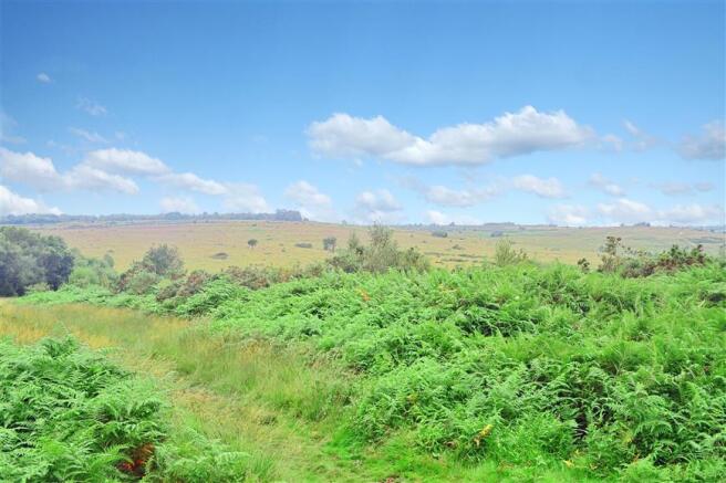 Surrounding Area