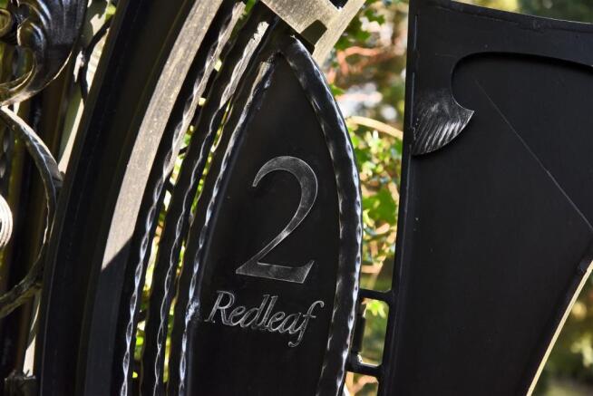 Redleaf 27.jpg