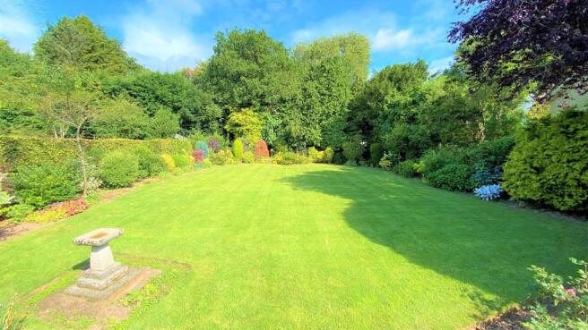 Garden.jpg