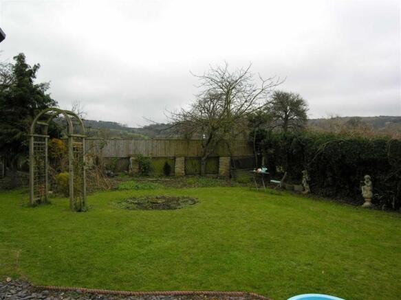 Photo 11