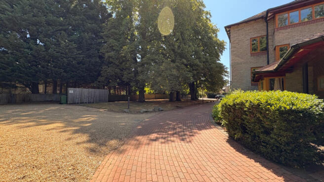 Photo 11