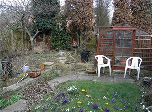 Photo 31