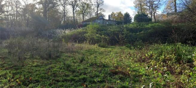 Grounds