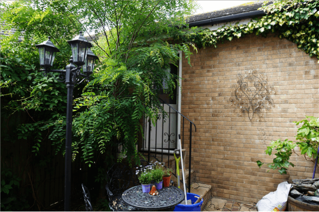Side Garden