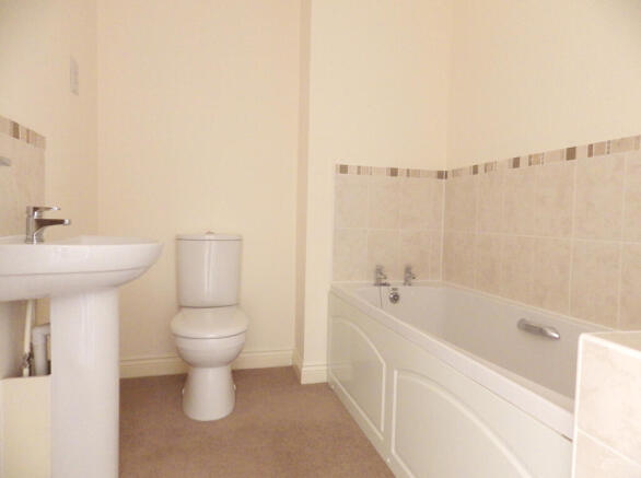 Picture 8