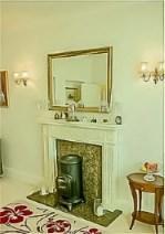 Feature Fireplace