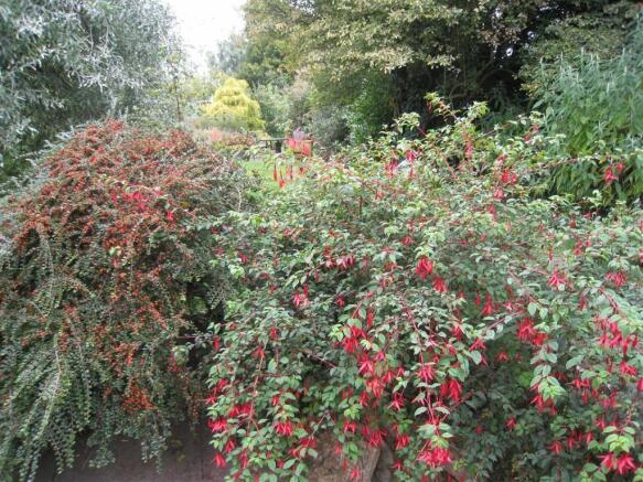 Photo 22