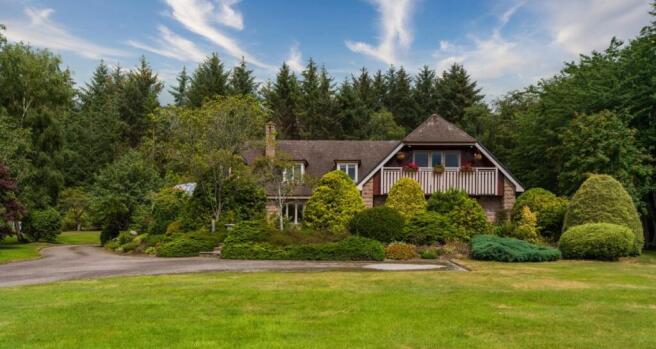 Garden/Exterior