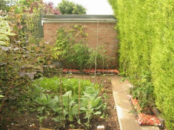 Rear Garden Photo 3