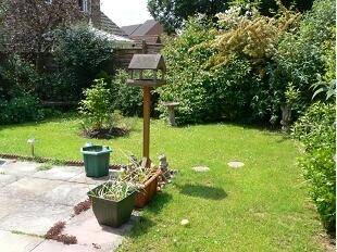 Garden,